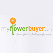 Buy Farm Fresh Wholesale Flowers Online